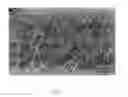 Fig. 03 - N-type thin film transistor