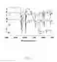 Fig. 02 - BATTERY SEPARATOR AND METHOD FOR MAKING THE SAME