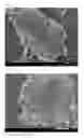 Fig. 02 - Negative electrode material for lithium ion batteries and use thereof