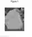 Fig. 02 - Negative electrode active material for nonaqueous electrolyte secondary batteries and nonaqueous electrolyte secondary battery containing negative electrode active material
