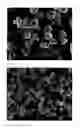 Fig. 02 - Negative electrode material for use in non-aqueous electrolyte secondary battery, method of producing the same, and lithium-ion secondary battery