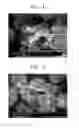 Fig. 04 - Positive active material, manufacturing method thereof, and positive electrode and lithium battery including the material
