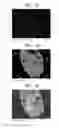 Fig. 08 - Cathode active material, cathode and lithium battery including the same, and method of preparing the cathode active material