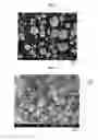Fig. 02 - ANODE ACTIVE MATERIAL FOR LITHIUM SECONDARY BATTERY, COMPOSITION FOR ANODE INCLUDING SAME, AND LITHIUM SECONDARY BATTERY