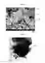 Fig. 03 - ANODE ACTIVE MATERIAL FOR LITHIUM SECONDARY BATTERY, COMPOSITION FOR ANODE INCLUDING SAME, AND LITHIUM SECONDARY BATTERY