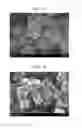 Fig. 03 - Silicon-containing negative active material, method of preparing the same, negative electrode including the same, and lithium secondary battery including negative electrode