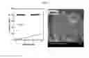 Fig. 03 - LITHIUM COMPOSITE OXIDE AND MANUFACTURING METHOD THEREFOR