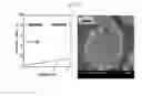 Fig. 04 - LITHIUM COMPOSITE OXIDE AND MANUFACTURING METHOD THEREFOR