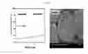 Fig. 05 - LITHIUM COMPOSITE OXIDE AND MANUFACTURING METHOD THEREFOR