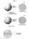 Fig. 02 - ALKALI METAL TITANIUM OXIDE HAVING ANISOTROPIC STRUCTURE, TITANIUM OXIDE, ELECTRODE ACTIVE MATERIAL CONTAINING SAID OXIDES, AND ELECTRICITY STORAGE DEVICE