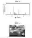 Fig. 04 - ALKALI METAL TITANIUM OXIDE HAVING ANISOTROPIC STRUCTURE, TITANIUM OXIDE, ELECTRODE ACTIVE MATERIAL CONTAINING SAID OXIDES, AND ELECTRICITY STORAGE DEVICE