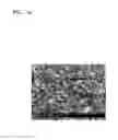 Fig. 03 - Composite positive electrode active material, method of manufacturing the same, positive electrode including the composite positive electrode active material, and lithium secondary battery including the positive electrode