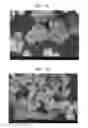 Fig. 08 - Co-precipitation reactor and method of manufacturing material precursor for secondary battery using the same