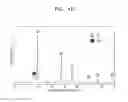 Fig. 07 - Composite anode active material, anode including the composite anode active material, and lithium secondary battery including the anode