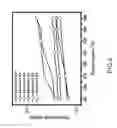 Fig. 07 - Method of fabricating proton-conducting electrolytic membrane