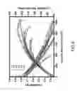 Fig. 08 - Method of fabricating proton-conducting electrolytic membrane