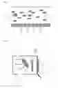 Fig. 02 - Filtration-Active Fuel Cell
