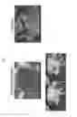 Fig. 03 - Rechargeable lithium battery