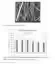 Fig. 02 - Instantaneously wettable polymer fiber sheet