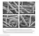 Fig. 05 - Instantaneously wettable polymer fiber sheet