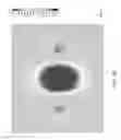 Fig. 07 - ANTENNA  APPARATUS