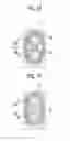 Fig. 15 - Solid-state laser device and photoacoustic measurement device