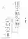 Fig. 45 - Sequentially operated modules