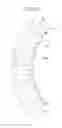 Fig. 10 - SINGLE STATOR AND MOTOR COMPRISING SAME