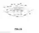 Fig. 17 - Motor and method of manufacturing the same