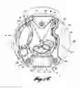 Fig. 07 - Oscillating motor for a personal care appliance