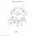 Fig. 08 - STUDENT, TEACHER, ADMINISTRATIVE AND RESEARCH COORDINATING HELPER