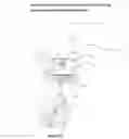 Fig. 27 - STUDENT, TEACHER, ADMINISTRATIVE AND RESEARCH COORDINATING HELPER