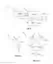 Fig. 03 - Circuit and Method for Power-On Reset of an Integrated Circuit