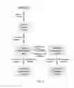 Fig. 04 - Compressively-accelerated read mapping framework for next-generation sequencing