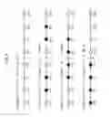 Fig. 07 - Parallel bit interleaver