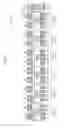Fig. 44 - Parallel bit interleaver