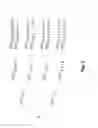 Fig. 04 - Orthogonal symbol interleave for spreading signals