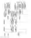 Fig. 14 - User apparatus, base station, successive interference canceling process method, and successive interference canceling control method