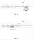 Fig. 15 - Fast association in millimeter wave wireless local area network systems