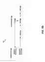 Fig. 04 - Systems and methods for increasing the transmission speed of a satellite VSAT