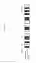 Fig. 150 - Information processing method for generating encoded signal for visible light communication