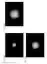 Fig. 169 - Information processing method for generating encoded signal for visible light communication