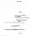Fig. 247 - Information processing method for generating encoded signal for visible light communication