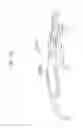 Fig. 42 - Information processing method for generating encoded signal for visible light communication