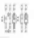 Fig. 10 - Decoding device, information transmission system, and non-transitory computer readable medium