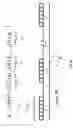 Fig. 59 - Modulation and equalization in an orthonormal time-frequency shifting communications system