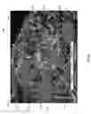 Fig. 61 - Modulation and equalization in an orthonormal time-frequency shifting communications system