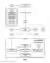 Fig. 03 - Blind equalization tap coefficient adaptation in optical systems