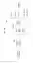Fig. 11 - Apparatus for transmitting broadcast signals, apparatus for receiving broadcast signals, method for transmitting broadcast signals and method for receiving broadcast signals