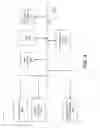 Fig. 05 - Suspension of traffic re-routing during planned network interruption